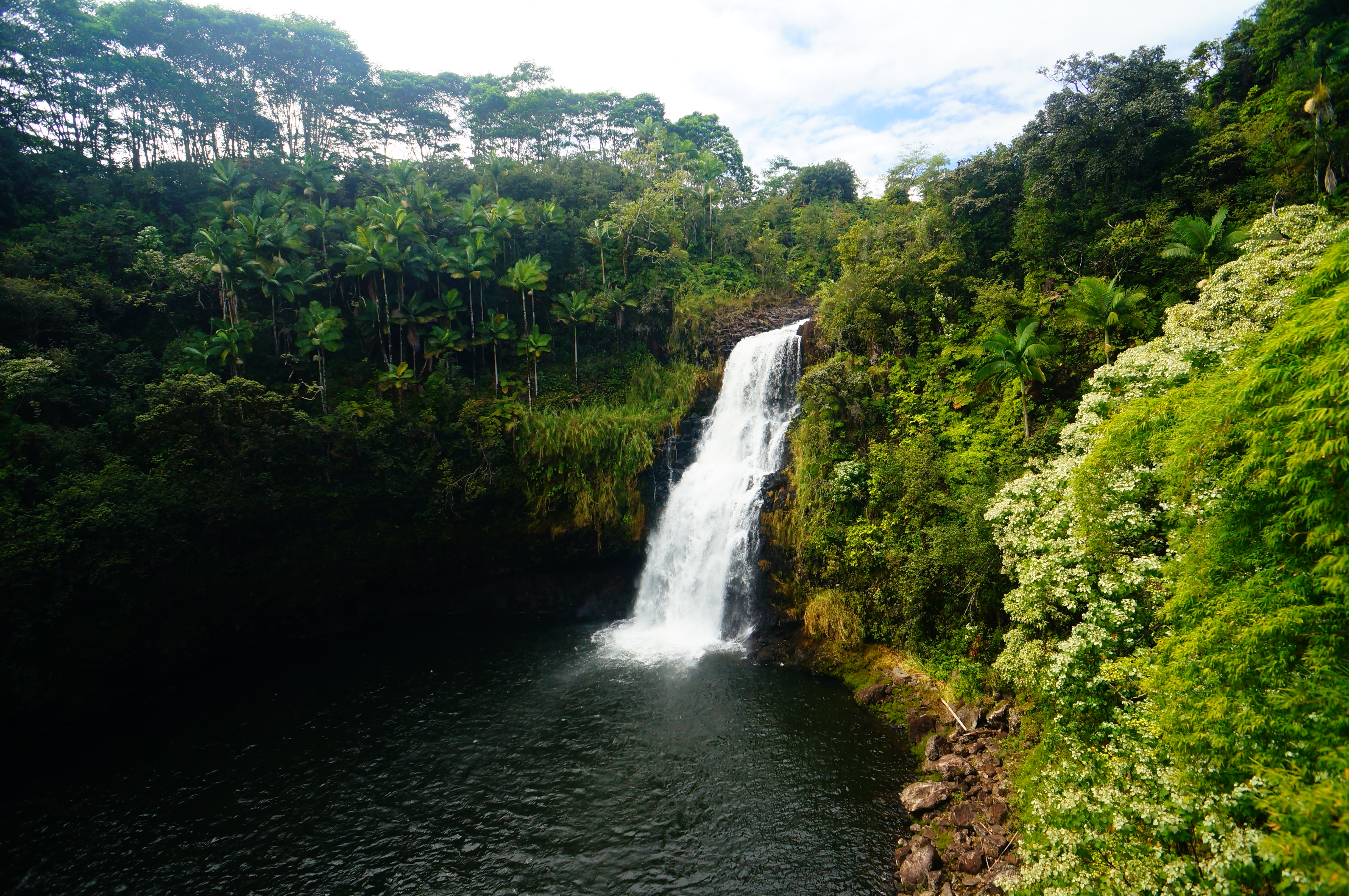 The Inn at Kulaniapia Falls - Hilo, Hawaii Bed and Breakfast - Unique Inns