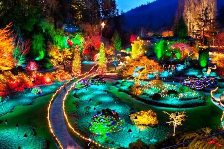 Discover the Magic of Christmas at the Butchart Gardens - Trip Ideas ...